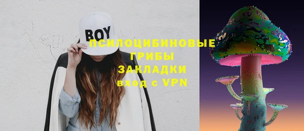 винт Алексеевка