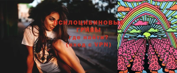 винт Алексеевка