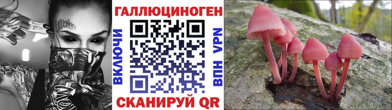 цена наркотик  Котлас  Псилоцибиновые грибы прущие грибы 