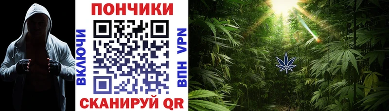 что такое   ссылка на мегу ССЫЛКА  Канабис сатива  Котлас 